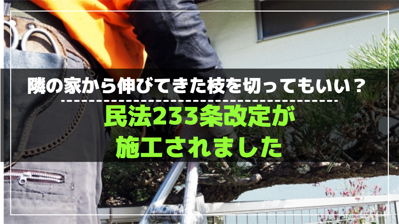 民法233条改正で変わった隣地から伸びた枝の処分方法と注意点｜水戸市 