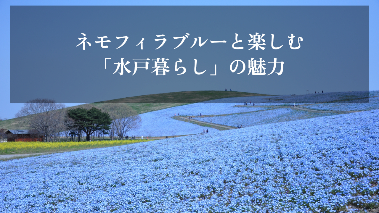 ネモフィラブルーと楽しむ「水戸暮らし」の魅力