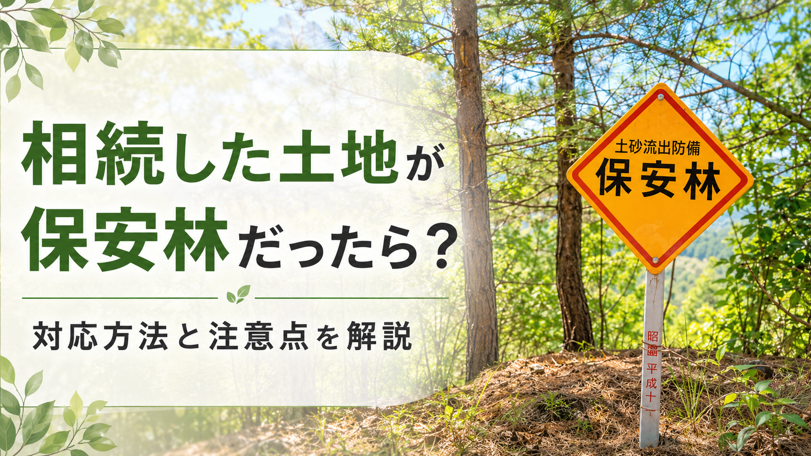 相続した土地が保安林だったらどうする？
